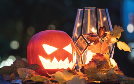 „Wirtschaftlich relevanter denn je“