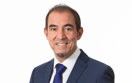 Alle sechs Stunden stirbt auf Tirols Straßen ein Wildtier