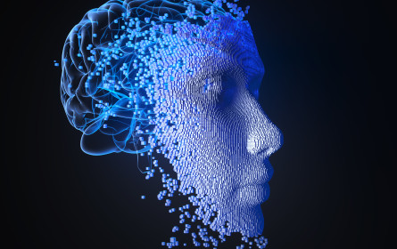 KI braucht menschliche Intelligenz