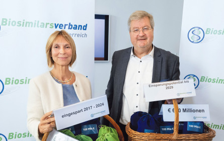 Freies Sparpotenzial