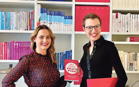 Kraftwerk fürs Hirn