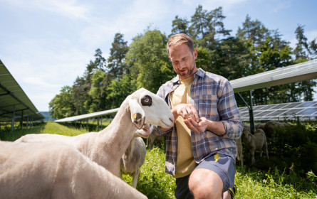 Herbstkampagne „Energie, die wirkt“: Kelag investiert 2,6 Milliarden Euro in Kärntens Zukunft