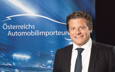 Die Autobranche steckt in der E-Transformation