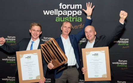 DS Smith erhält Wellpappe Austria Award 2025