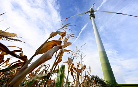 IPG Mediabrands übernimmt Verbund-Etat