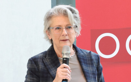 Auf der Suche nach den Jungen