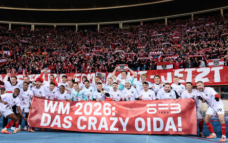 2,6 Mio. fieberten bei WM-Showdown mit