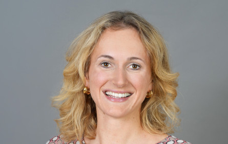 Die Orientierungshilfe beim Online-Shopping