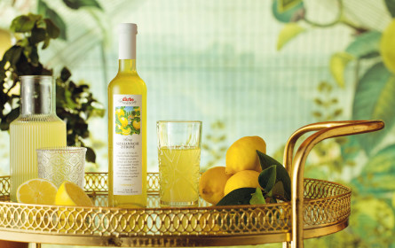 Neuprodukte sollen Darbo „repräsentieren“