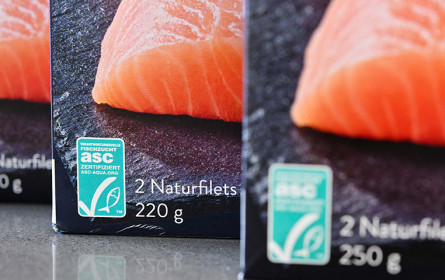 "Shrinkflation"-Gesetz fast fertig: SPÖ drängt auf hohe Strafen