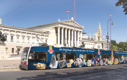 Schärdinger holt Testsieg beim VKI
