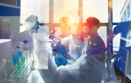 Pharma: Sorge vor Trump sinkt – Gewinne steigen