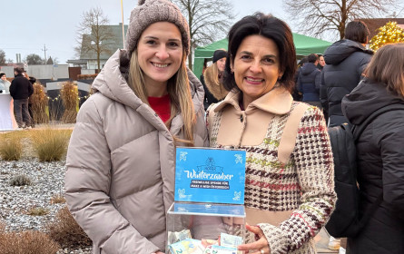 Hofer-Mitarbeiter sammeln Spenden für Make-A-Wish beim Winterzauber-Punschstand