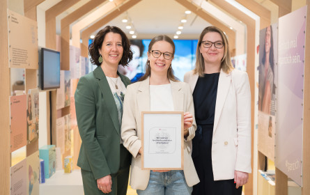 dm erneut für Familienfreundlichkeit ausgezeichnet