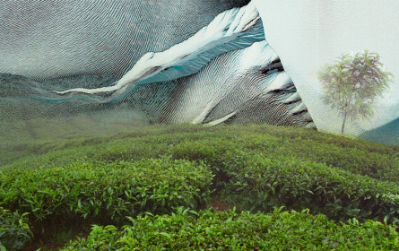 Joe Haider lädt in sein Atelier in Wien