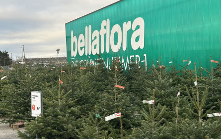 Bellaflora setzt auf heimische Weihnachtsbäume und erweitert das Angebot