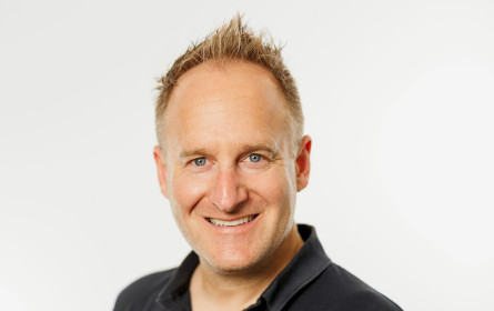 Qualität schlägt Masse