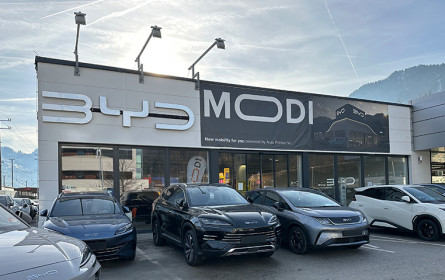 BYD: Absatzverdoppelung in Salzburg angestrebt