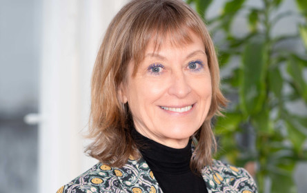 Himmelhoch unterstützt den Verein Die Fruchtbar bei Öffentlichkeitsarbeit