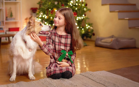 Fressnapf Österreich spendet 188.000 Euro und 192 Tonnen Tiernahrung für den Tierschutz