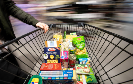 Wifo-Report: Handelsstimmung so gut wie seit vier Jahren nicht