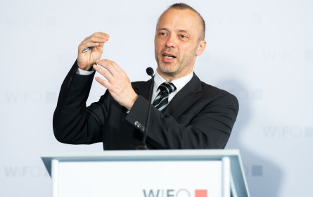 Wifo: Industriekonjunktur in Österreich bleibt schwach