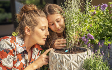 Umfrage: Garten wird Raum für Bewegung und Selbstversorgung