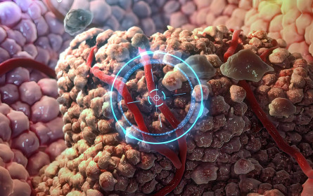 Kommunikationsbedarf zu Krebs nimmt weiter zu