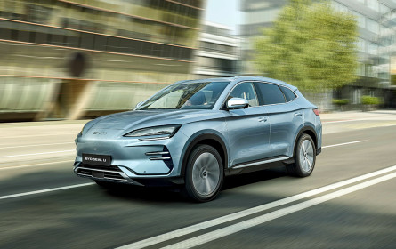 Globale Partnerschaft