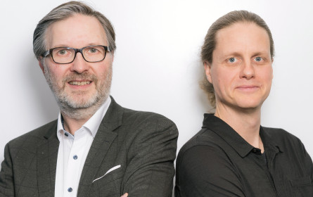 Mit starken Wurzeln klare Linie verfolgen