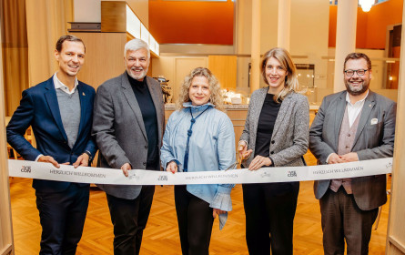 Konsequente  Weiterentwicklung