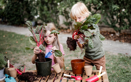 Volksschule Edelsbach erhält Vielfaltspreis von Spar