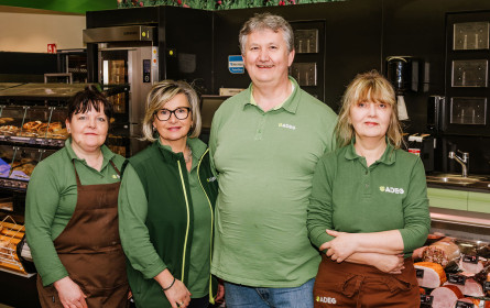 Modernisierung und Übernahme