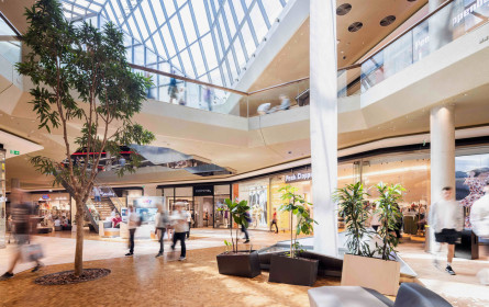 Fischapark auf Wachstumskurs