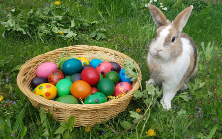 Bewusster schenken, regional kaufen: Ostern leicht unter Vorjahr