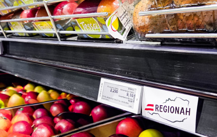 Neues Regionah-Logo: Metro schärft Profil bei Regionalität