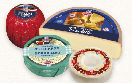 Schärdinger überzeugt bei internationalem Käsebewerb