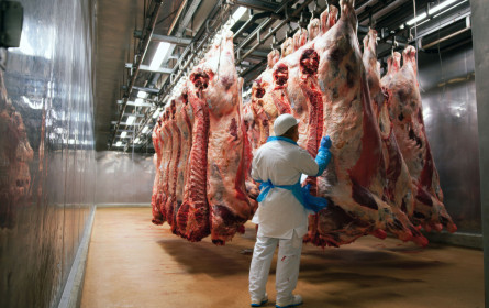 Fleisch: Stabile Branche, gestiegener Konsum