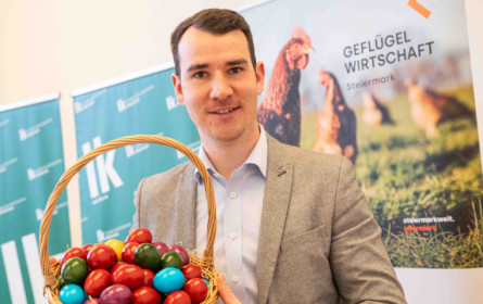 Eier bleiben knapp – Branche fordert bessere Rahmenbedingungen