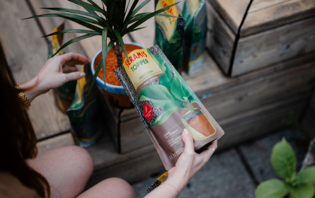 Seramis bringt Topper gegen Trauermücken in Trendfarben