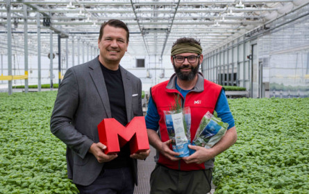 Strillinger-Kräuter: Bio-Qualität aus Tirol für MPreis