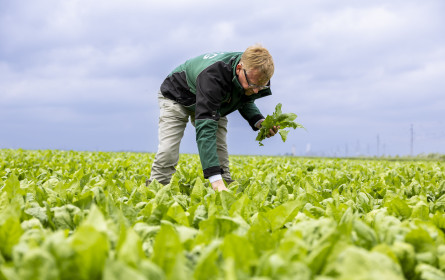 Ostern bleibt kulinarisch traditionell geprägt