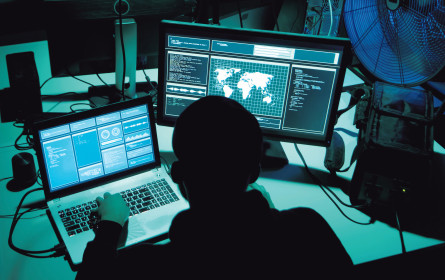 Betrugsfalle Online-Shopping