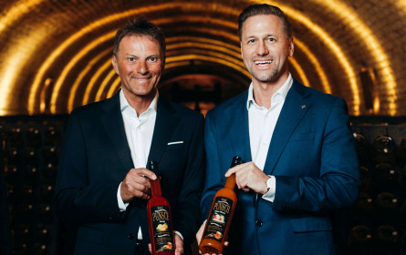 Schlumberger  kauft Treml Punsch