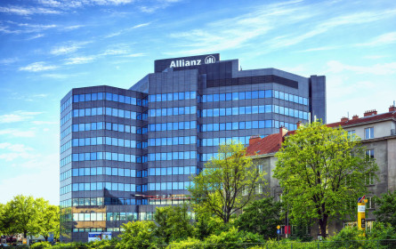 Bestand hat viel Potenzial