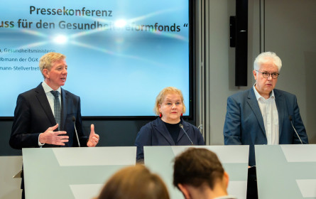 Wie die Regierung jetzt 2,6 Mrd. Euro verteilen will