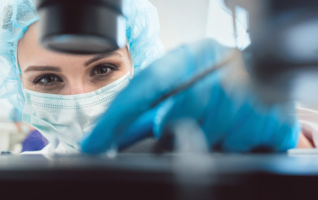 Hoffnung, dass Reformen in Umsetzung kommen