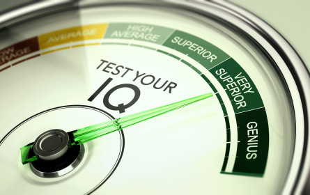 Mensa Österreich: Der Club der klugen Köpfe