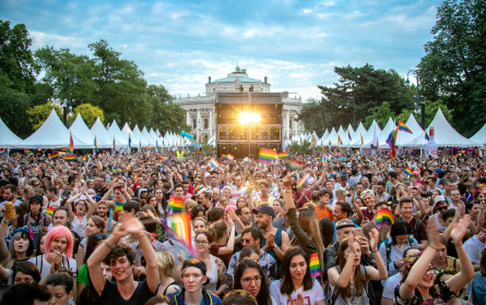 monitorwerbung Partner der Vienna Pride