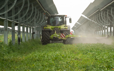 Agri-PV im Fokus: Bionet-Fachtag im Seewinkel zeigt Potenziale für Landwirtschaft und Energie